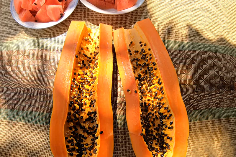 sochnaya-papaya