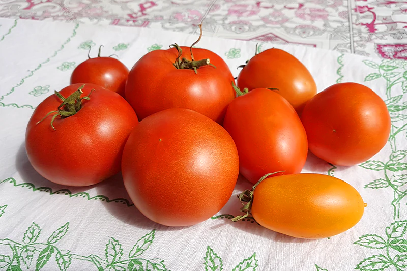 domashnie-pomidori